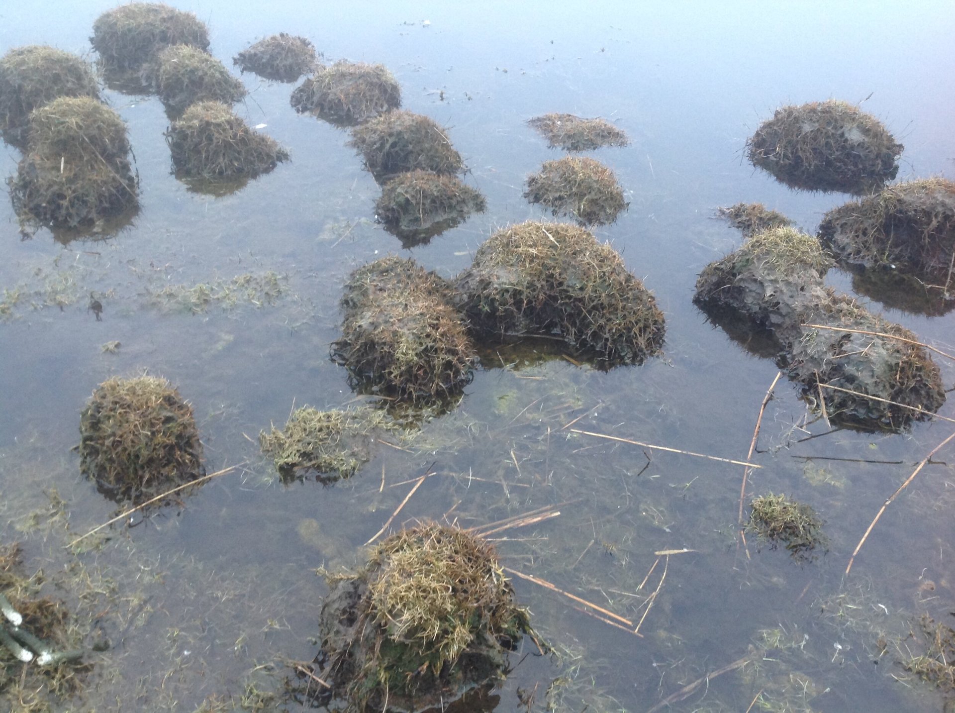 THY Kunstkalender 2022